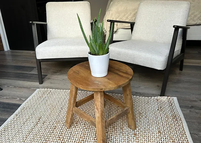 Dom wakacyjny Hello - Pietheinplein 1 *